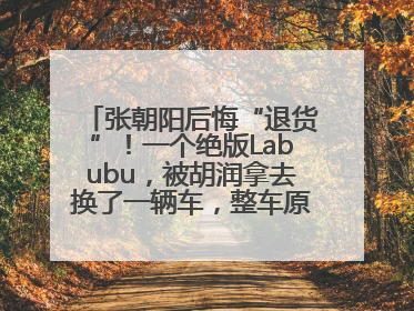 张朝阳后悔“退货”！一个绝版Labubu，被胡润拿去换了一辆车，整车原价值上百万元